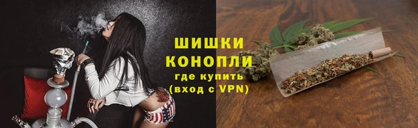 индика Шадринск