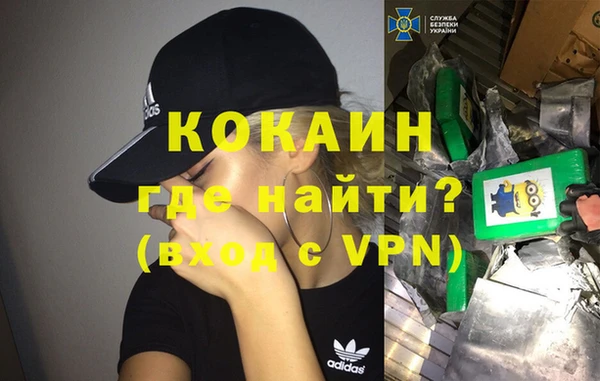 сатива Заводоуковск