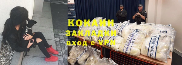 дживик Елизово