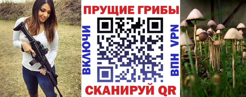 Галлюциногенные грибы GOLDEN TEACHER  Купить где  Дно 